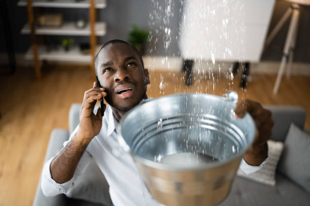 Best Commercial water damage restoration  in Catawba, SC