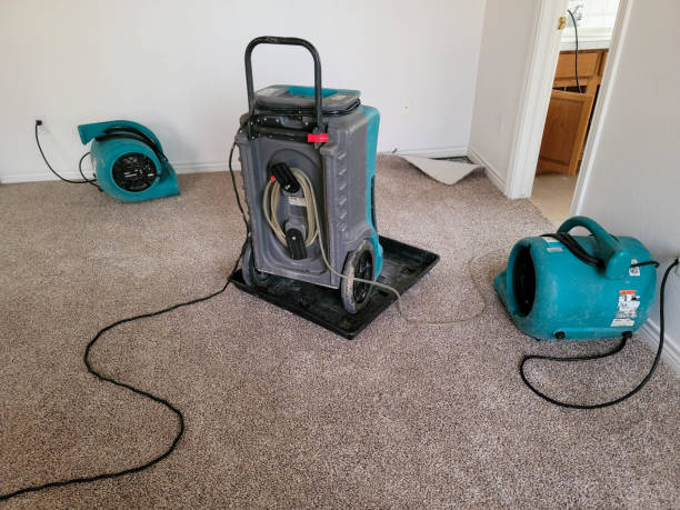 Carpet water damage restoration in Catawba, SC