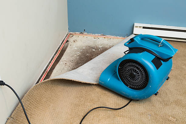 Water damage restoration mold remediation in Catawba, SC